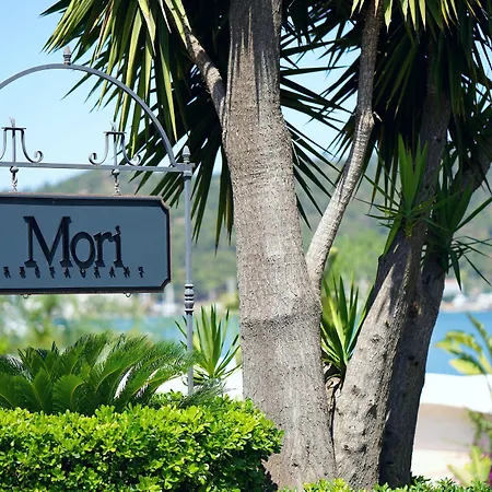 يخت كلاسيك - بوتيك كلاس