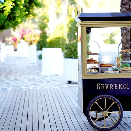 يخت كلاسيك - بوتيك كلاس فتحية